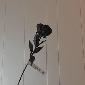 Meet your Posher, Yao